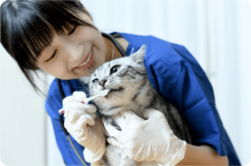 働くイメージ写真